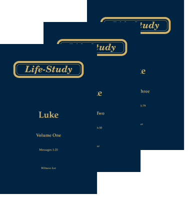 Life-study of Luke print edition (softbound)